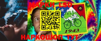 гашик Малгобек